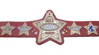 World Of Stardom Championship