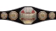 AAA Héroes del Ring Championship