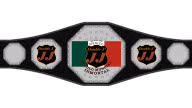AAA Mexican Heavyweight Championship (Jeff Jarrett version) AAA Mexican Heavyweight Championship (Jeff Jarrett version)