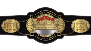 AAA World Mini-Stars Championship