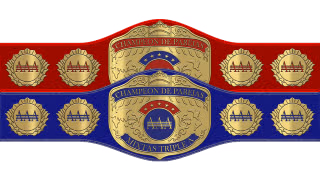 AAA Mixed Tag Team Championship AAA Mixed Tag Team Championship