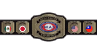 IWAS Heavyweight Championship