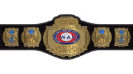 IWAS Tag Team Championship