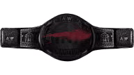 AEW TNT Championship (Scapegoat - Jack Perry)