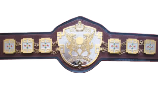 AJPW All Asia Tag Team Championship AJPW All Asia Tag Team Championship