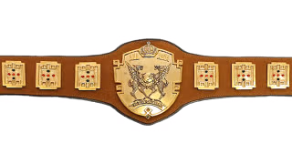AJPW All Asia Tag Team Championship