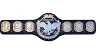 NWA International Tag Team Championship