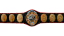PWF World Tag Team Championship