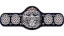 AJPW World Junior Heavyweight Championship