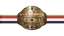 Japanese Tag Team Championship