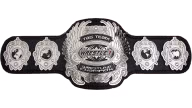Wrestle-1 Tag Team Championship
