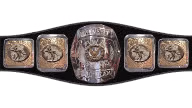 AWA Midwest Tag Team Championship