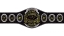 MW Southern Heavyweight Championship