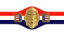 AWA World Light Heavyweight Championship