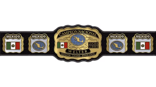 Mexican National Welterweight Championship