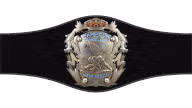 CMLL Arena Mexico Tag Team Championship
