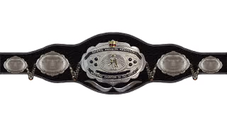 NWA World Welterweight Championship NWA World Welterweight Championship