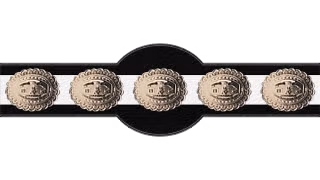 NWA World Middleweight Championship NWA World Middleweight Championship