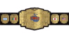 CMLL World Welterweight Championship