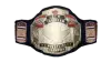 NWA-ECW Tag Team Championship