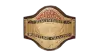 NWA-ECW Television Championship