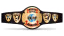 ECW World Television Championship