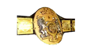 Asia Tag Team Championship