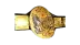 Asia Tag Team Championship