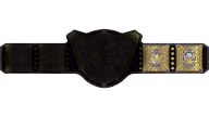 IWGP Intercontinental Championship (WHC Merged & Evil Spray))