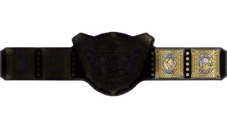 IWGP Intercontinental Championship