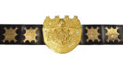 IWGP Heavyweight Championship IWGP Heavyweight Championship