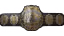 IWGP Heavyweight Championship