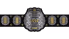 IWGP Junior Heavyweight Championship