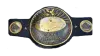 IWGP Tag Team Championship IWGP Tag Team Championship
