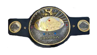 IWGP Tag Team Championship