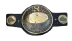 IWGP Tag Team Championship