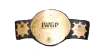 IWGP Tag Team Championship IWGP Tag Team Championship