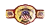 IWGP United States Heavyweight Championship IWGP United States Heavyweight Championship