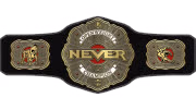 NEVER Openweight Championship NEVER Openweight Championship
