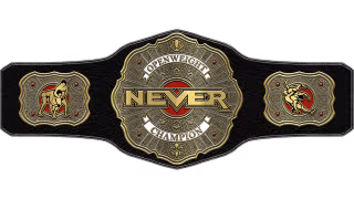 NEVER Openweight Championship