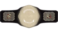 NEVER Openweight Championship
