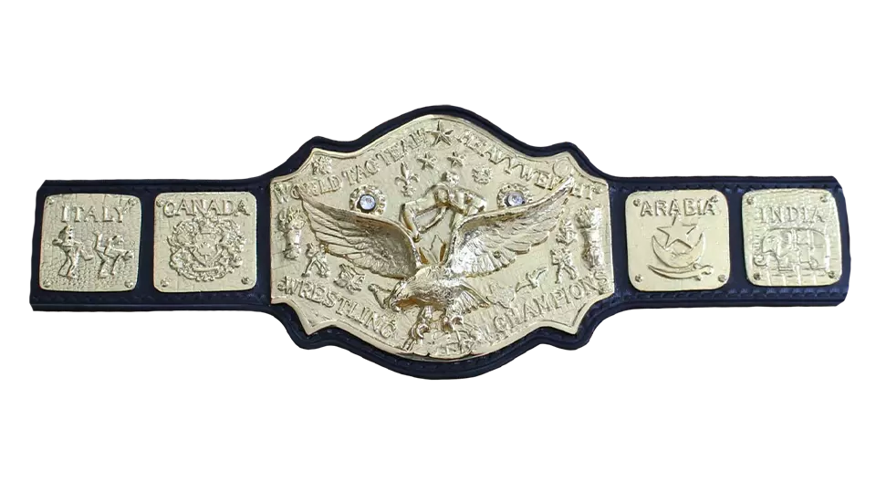 NWA World Tag Team Championship