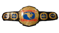 NWA North American Heavyweight Championship