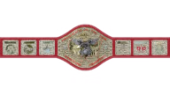 NWA United States Tag Team Championship
