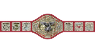 NWA United States Tag Team Championship