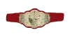 NWA Women's Tag Team Championship