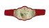 WWF Women's Tag Team Championship