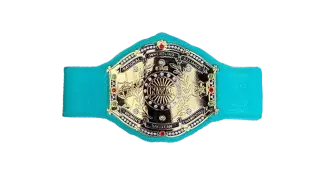 NWA World Women's Tag Team Championship