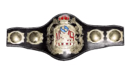 NWA World Heavyweight Championship ('Crown belt') NWA World Heavyweight Championship ('Crown belt')