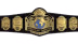 NWA World Tag Team Championship